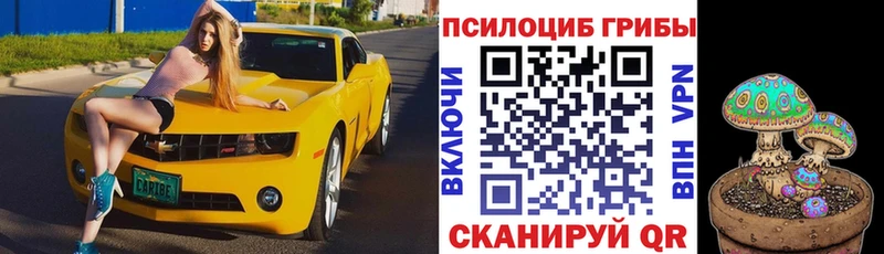 Псилоцибиновые грибы Cubensis  где продают наркотики  Усмань 